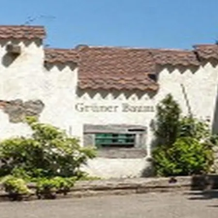Landgasthaus Gruener Baum