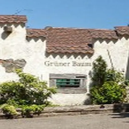 Hotel Landgasthaus Grüner Baum Simonswald