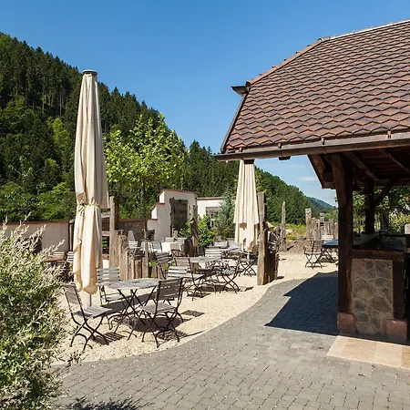 Landgasthaus Gruener Baum Hotel