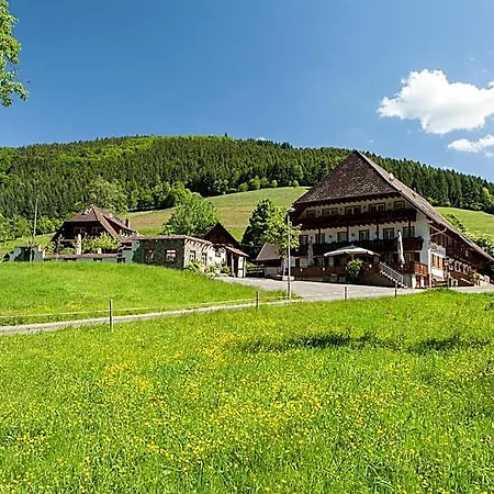 Landgasthaus Grüner Baum Hotel