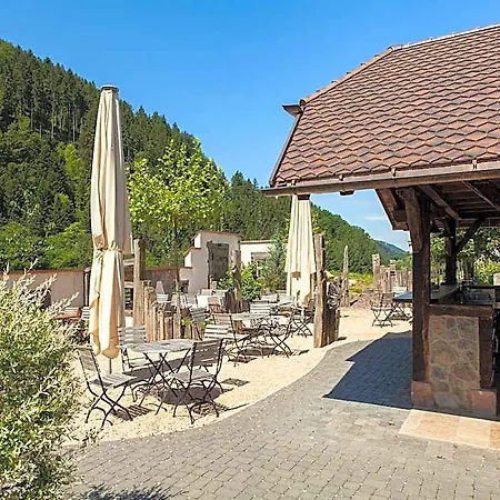 Hotel Landgasthaus Grüner Baum 3*