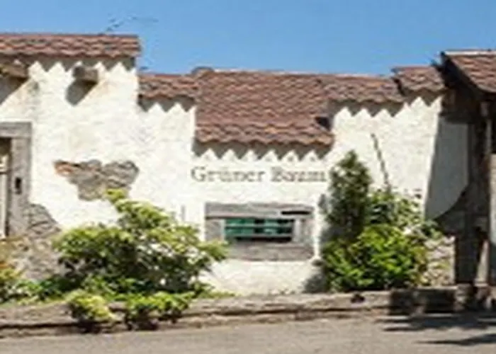Landgasthaus Gruener Baum Szálloda Simonswald