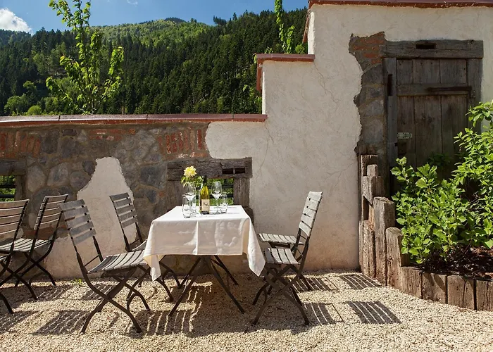 Landgasthaus Gruener Baum Hotel Simonswald